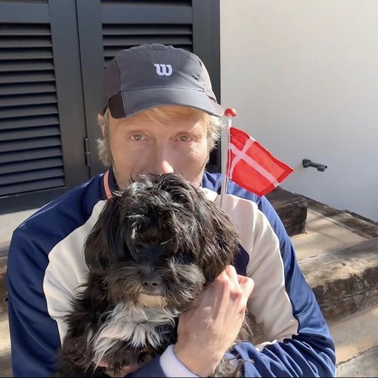 mads mikkelsen as vincent van gogh paintings : a thread