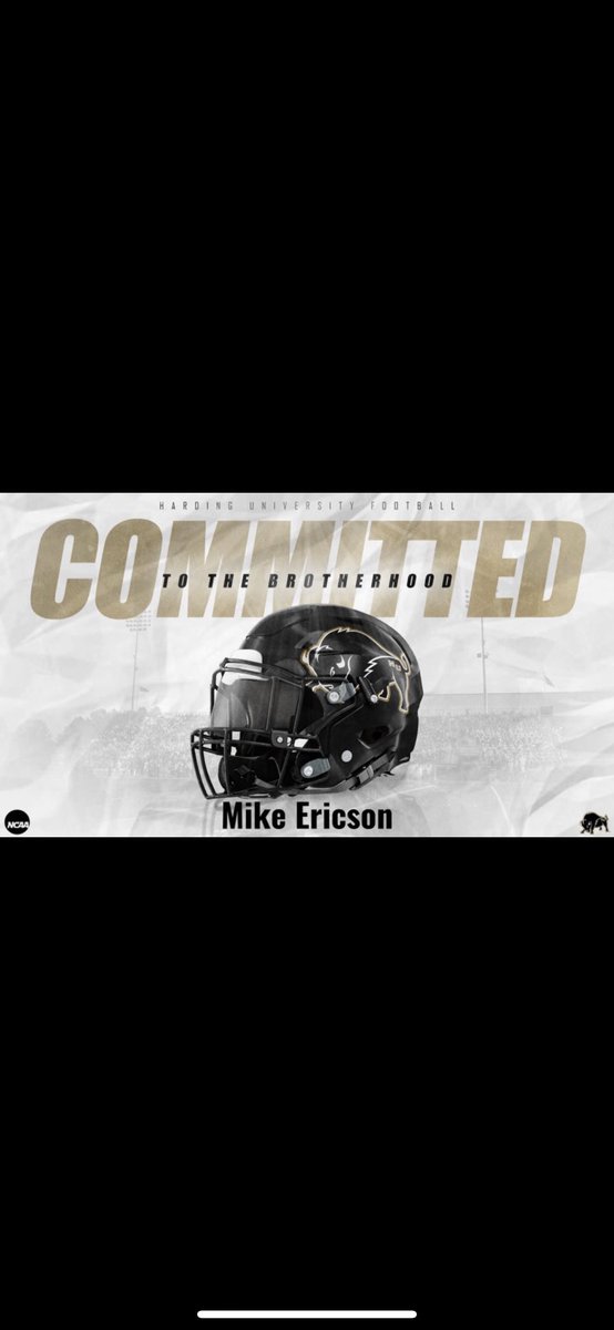 Michael Ericson tweet media