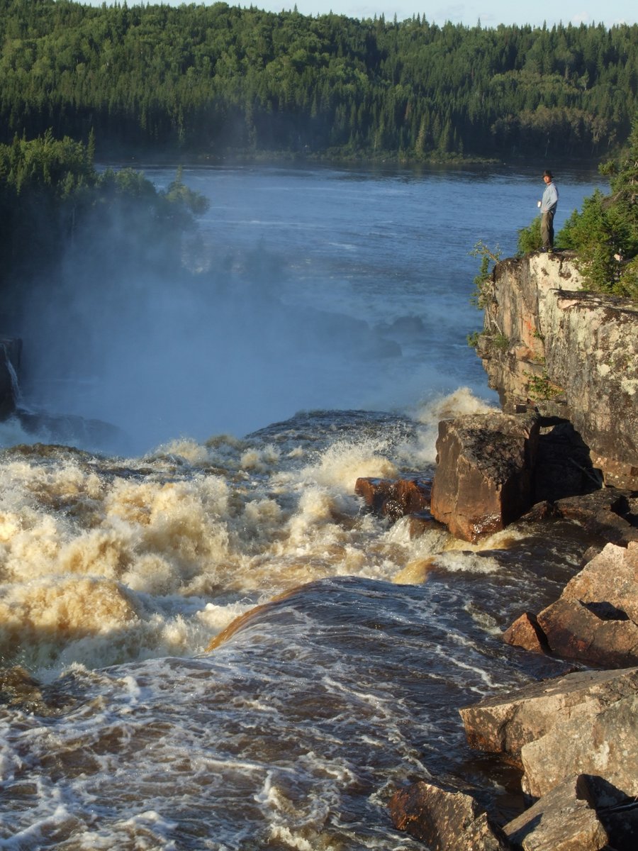 Mark Kyte tweet media