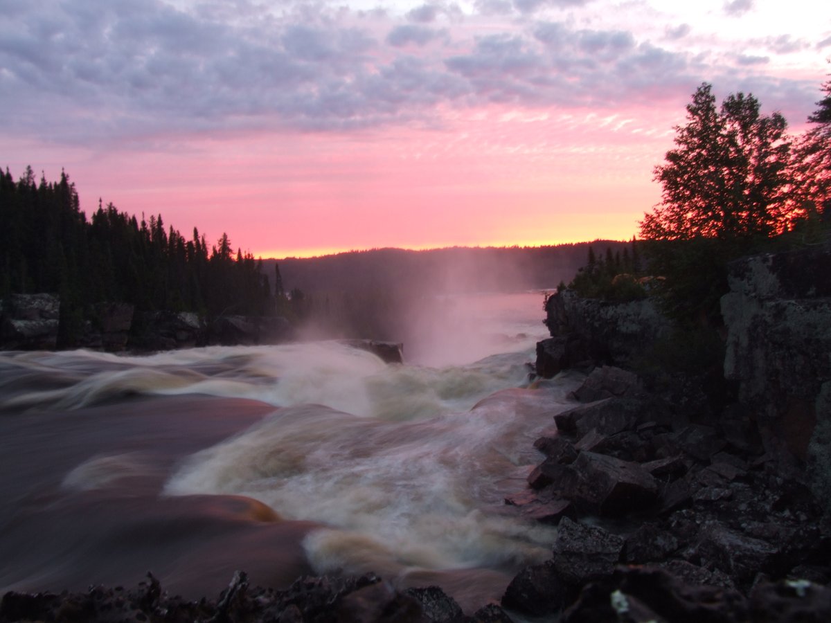 Mark Kyte tweet media