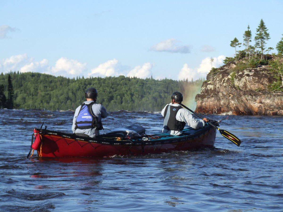 Mark Kyte tweet media