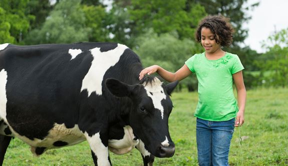 Ask the <a href="/USDA_AMS/">USDA Ag Mktg Service</a> to finish the Origin of Livestock rule that provides a strong standard &amp; protects #organic dairy farmers &amp; organic program #integrity. Sign this letter to the incoming Secretary of Agriculture by Weds. @ midnight. docs.google.com/forms/d/e/1FAI…

<a href="/OrganicFarmersA/">Organic Farmers Association</a>