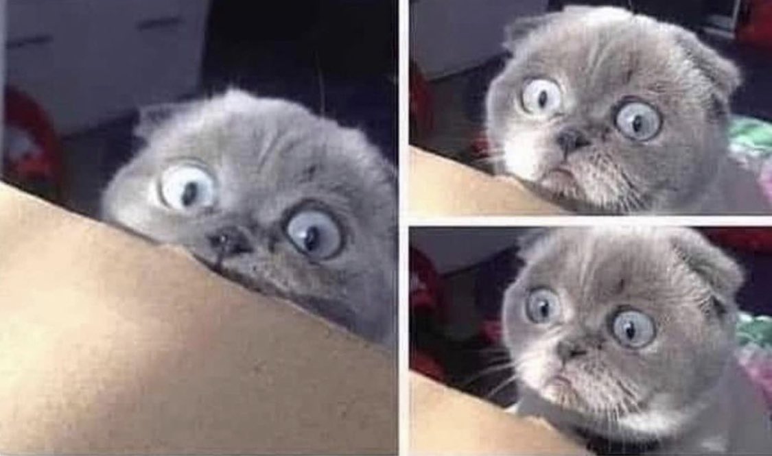 When you’re just minding your own business and your brain starts thinking about that embarrassing thing you said 4 years ago