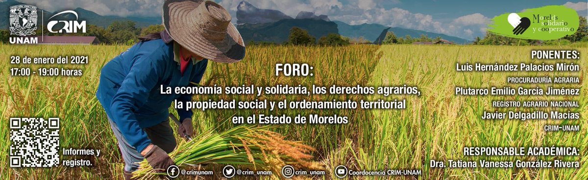 NODESS: Morelos Solidario y Cooperativo tweet media