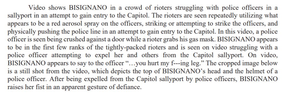 After being expelled from the Capitol sallyport by police officers---"You hurt my f---ing leg," she yelled at one--Bisignano raised "her fist in an apparent gesture of defiance."