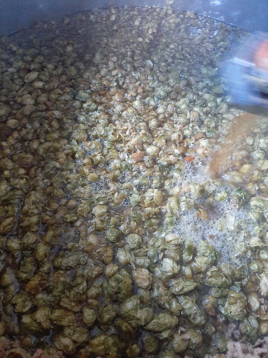 CRBrewery's tweet image. COMING SOON: our first official Pilot Kit beer! 🥳 After a culmination of trials using London Ale III yeast &amp;amp; Incognito hops, think big tropical stone fruit aromas from Mosaic, Citra &amp;amp; Ekuanot hops for our very first Pilot Kit beer available to buy. 🌴🤩🍻