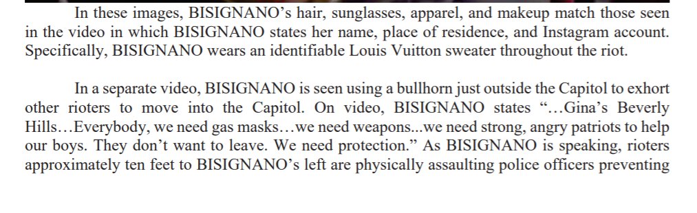 Gina Bisignano, the Beverly Hills hair salon owner, went to the Capitol riot in a Louis Vuitton sweater."Everybody, we need gas masks…we need weapons...we need strong, angry patriots to help our boys," she yelled through a bullhorn at the crowd.