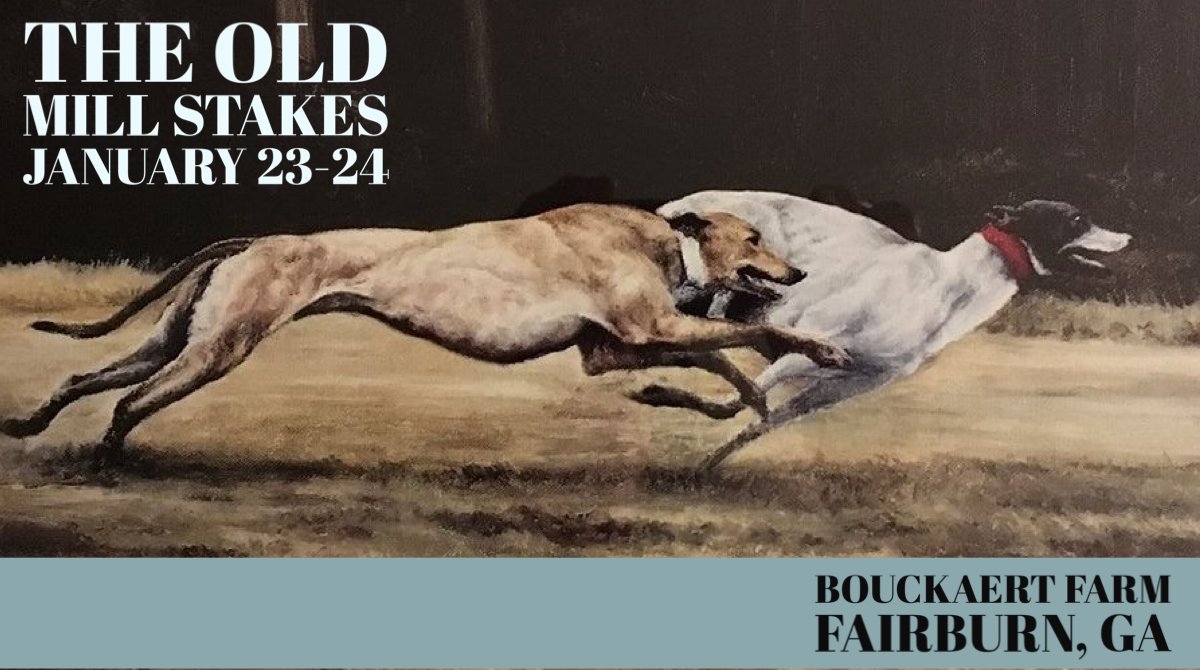 SEGC/SEGA Greyhounds tweet media