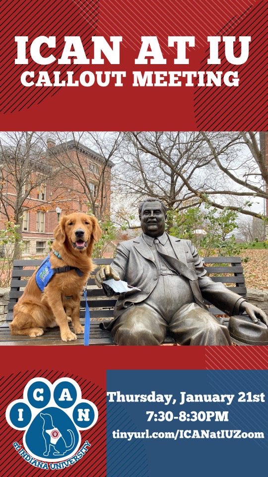 We have a callout meeting THIS THURSDAY JANUARY 21st at 7:30 PM (eastern). Join us at tinyurl.com/ICANatIUzoom to learn more about what we do and how you can get involved!🐾🐾