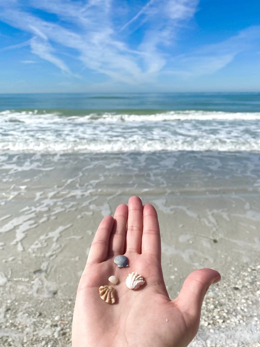 Gulfside Resorts tweet media