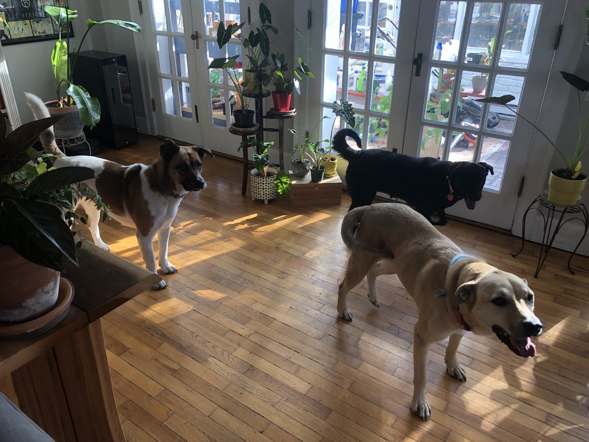 Maggie R Wagner tweet media