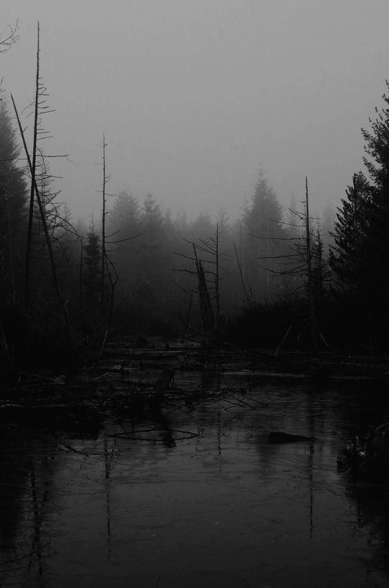 Huh...it's pretty foggy today....