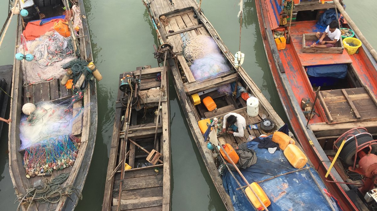 #SSFHub es una nueva plataforma digital de uso gratuito, que conecta a los pescadores, trabajadores de la pesca, comunidades y otras personas cercanas a la #PescaDePequeñaEscala 🐟con recursos valiosos y también entre ellos. 

⭕️Conócela aquí: bit.ly/38VBwTl