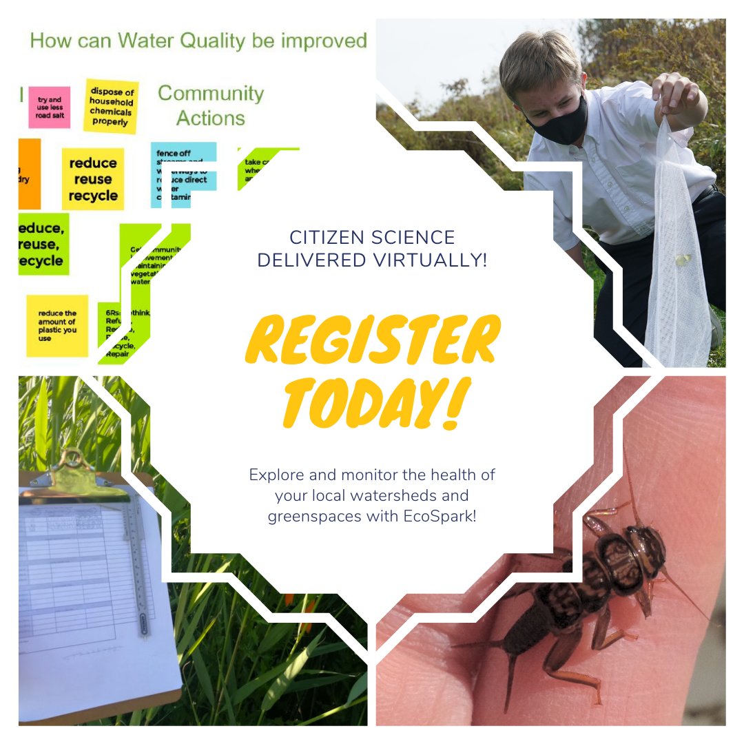 EcoSpark_Env's tweet image. EcoSpark's #virtualprogramming registration is OPEN! Check out our latest e-newsletter for more information and how register today! mailchi.mp/ca62872ff1b0/w…
#homeschooling #homelearning #virtuallearning #environmentaleducation #CitizenScience #virtualfieldtrip