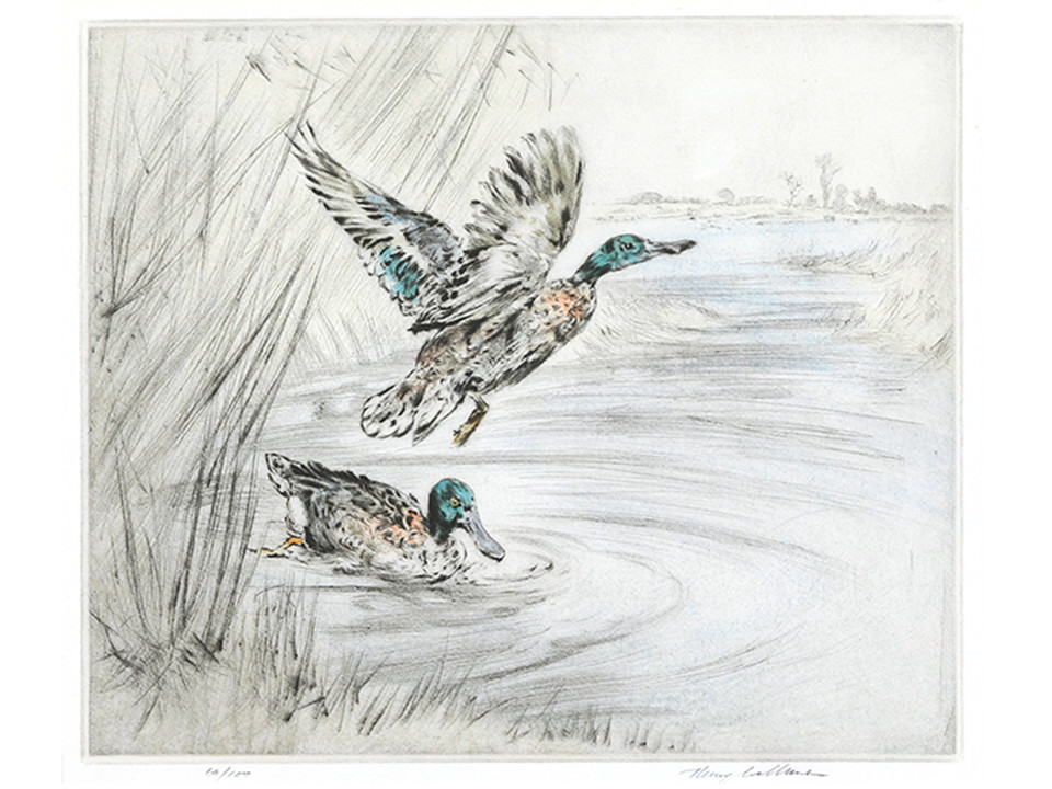saddleback_art's tweet photo. 'Mallards' Hand coloured limited edition signed etching by internationally acclaimed artist Henry Wilkinson. #SOLD

More art available to buy online at https://t.co/7ZXmkMbZMZ

#etching #mallards #henrywilkinson #saddlebackfineart #buyart #collectart #artlover #paintings https://t.co/TQGF8J5E0I