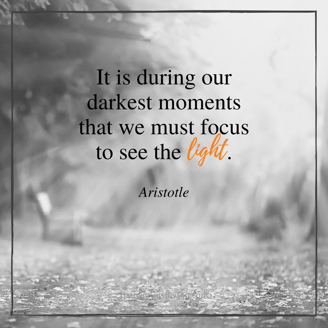 BVGustavson's tweet photo. "It is during our darkest moments that we must focus to see the light." - Aristotle #keepgoing #dontquit https://t.co/iNMOyhpJI2