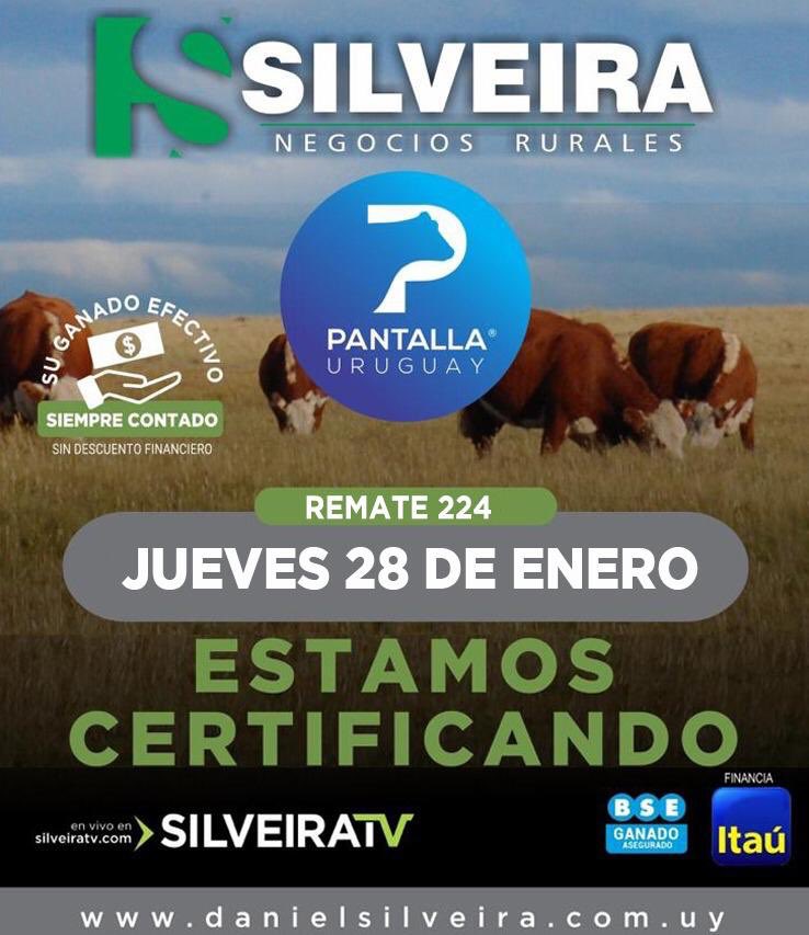 Silveira Agronegocios tweet media