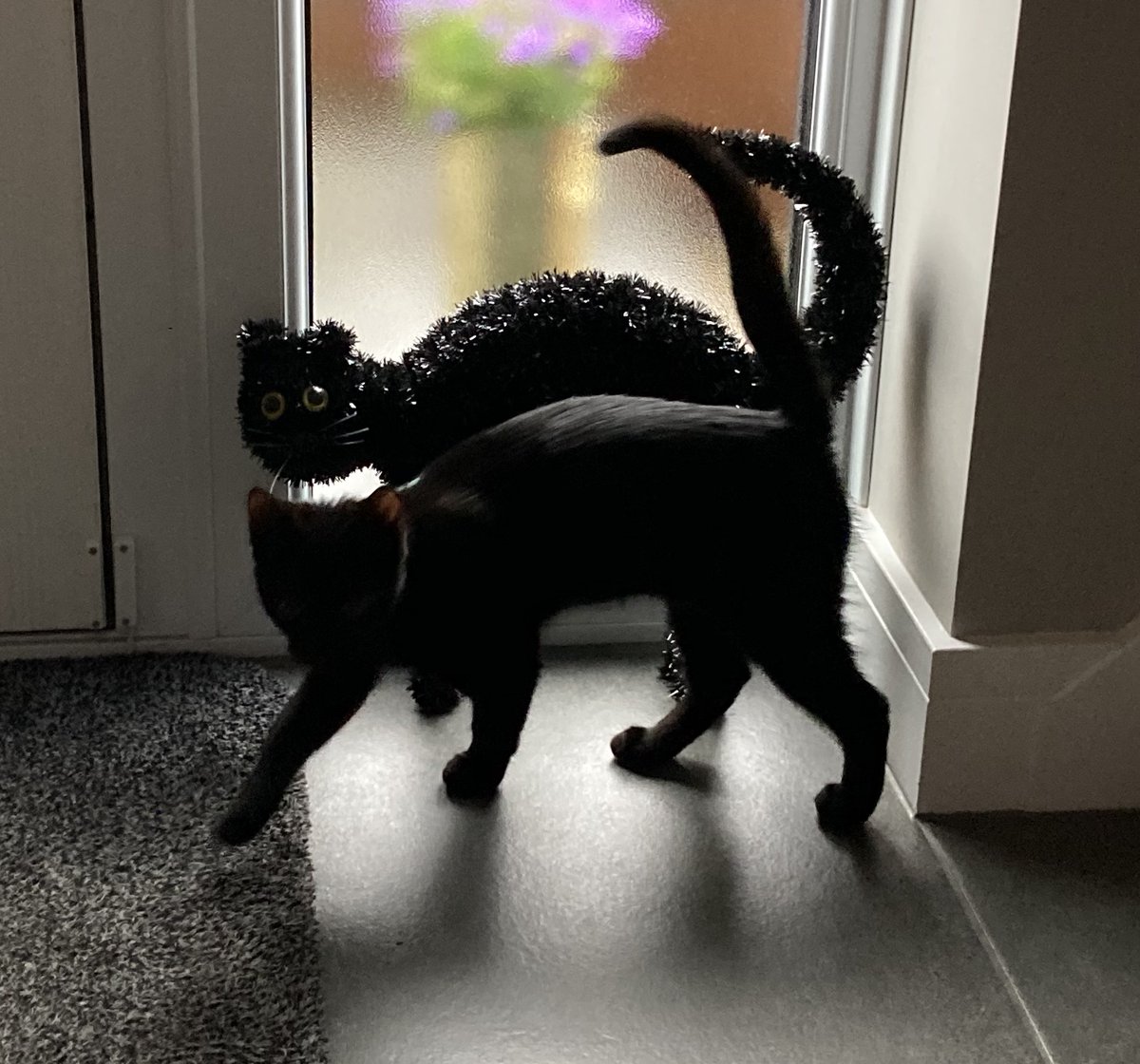 Diane Rawson tweet media