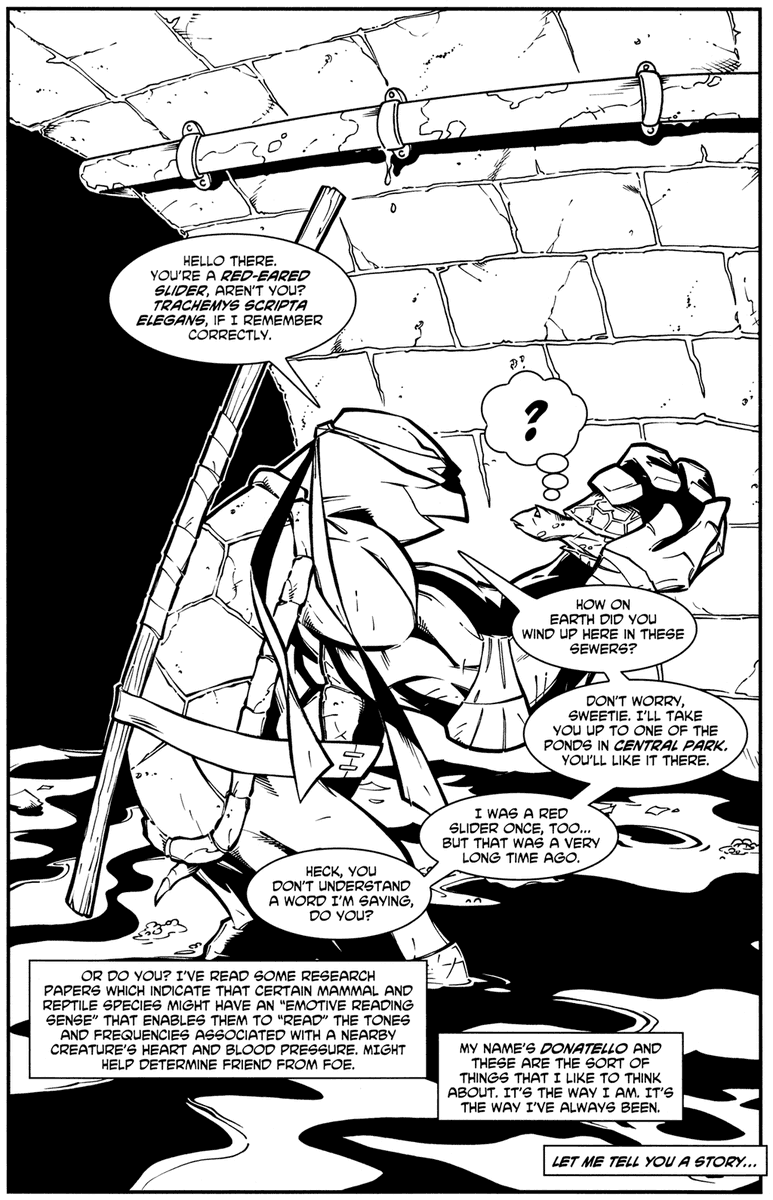 Derek Fridolfs. "My name is Donatello, and I condescend to hopelessly lost normal turtles in the sewers!"