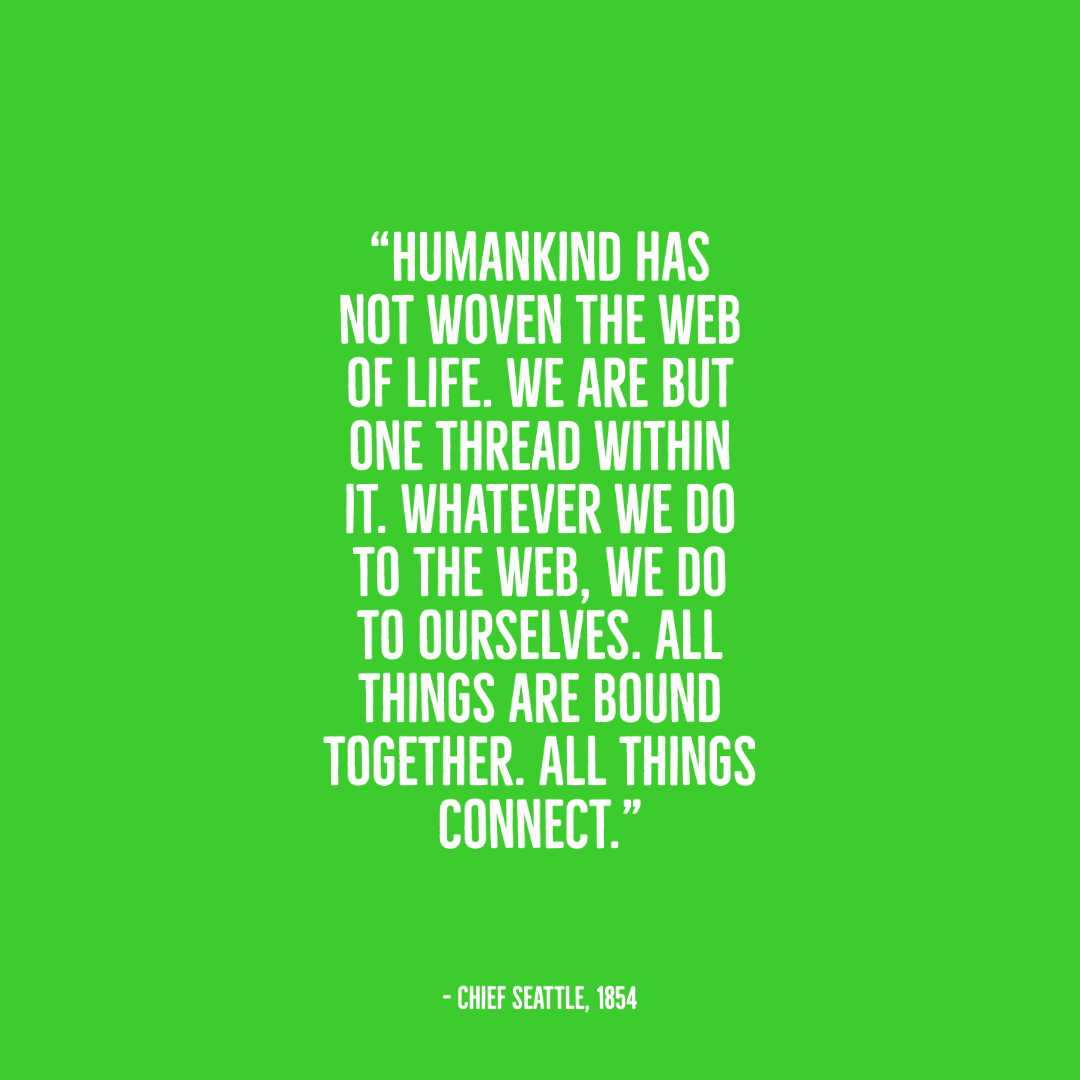 stonepapertech's tweet photo. Do you agree that we are but one thread within the web of life? https://t.co/1Nq1a5IFE3