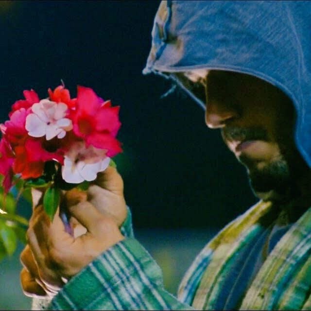 Lucas Viana tweet media