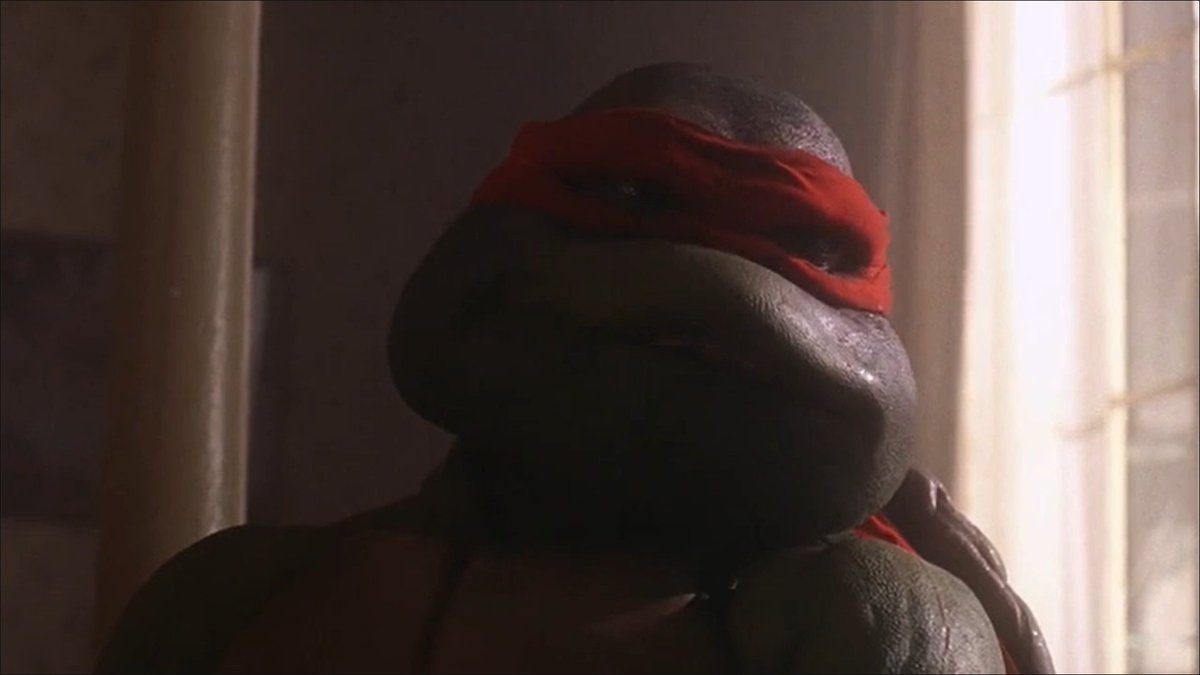 Awww!! Raph is blushing!! Also, Mikey and Donnie scared because Raph threw something at them.