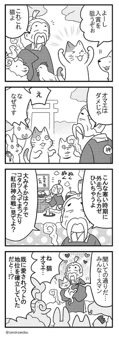 @korosukesumire 実は去年のこのコンビ再登場なのです…😁 