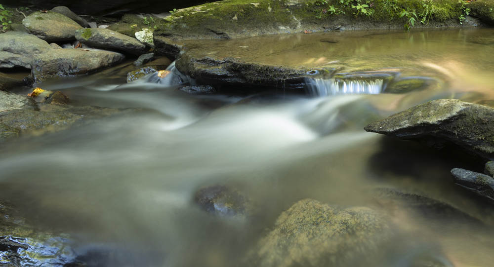 Gsagi's tweet photo. More therapy in today's crazy world, courtesy of Mother Nature. #GuyJSagiphotography #outdoorphotography #Northcarolina #greatoutdoors https://t.co/6opZVdKcje