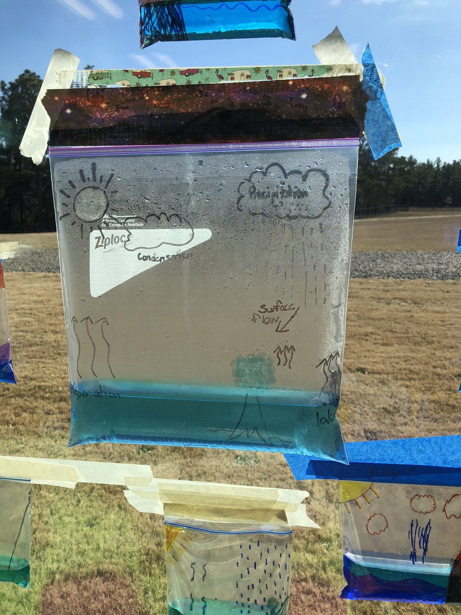 Mrs. Manning❤️🌎☁️🌱☀️ tweet media