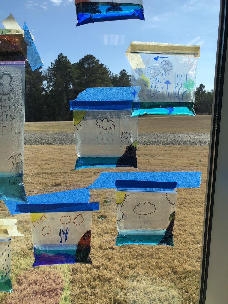 Mrs. Manning❤️🌎☁️🌱☀️ tweet media