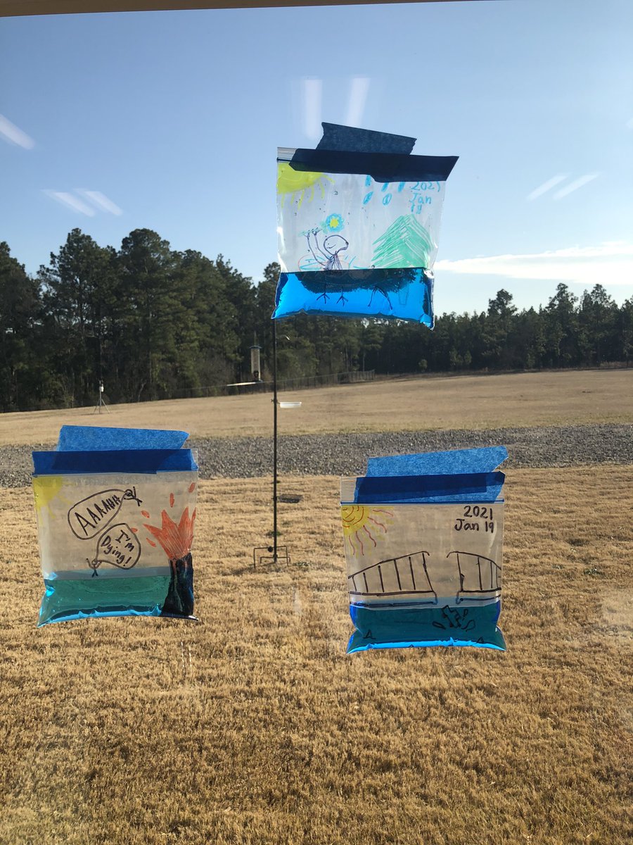 Mrs. Manning❤️🌎☁️🌱☀️ tweet media