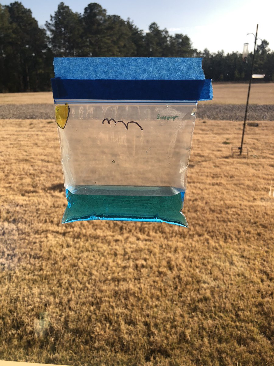 Mrs. Manning❤️🌎☁️🌱☀️ tweet media