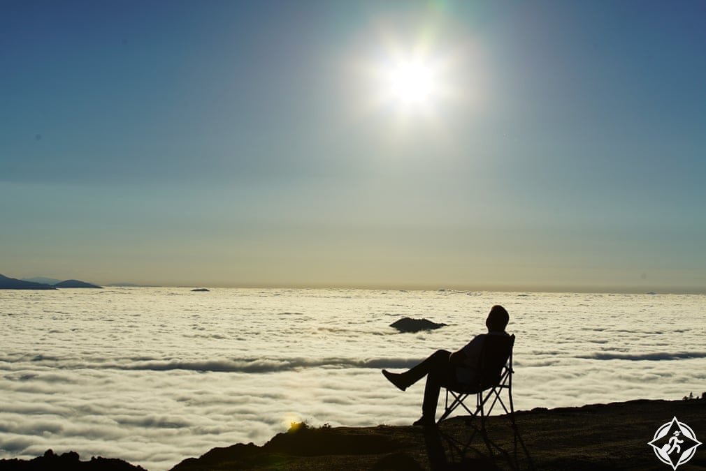 لا تستمع ألى الموسيقى واللحن ألذي تعشقه ,, وانت تمضغ الخيار أو الخس ,,

حتما 

لن تفهم ولن تستذوق أي منهما ,, لا الموسيقى ولا الخيار ,, 

هكذا ماتت أغلب قصص العشق والحب والغرام ,, 

#ماأكدر_ابسطها_أكثر_من_هيج