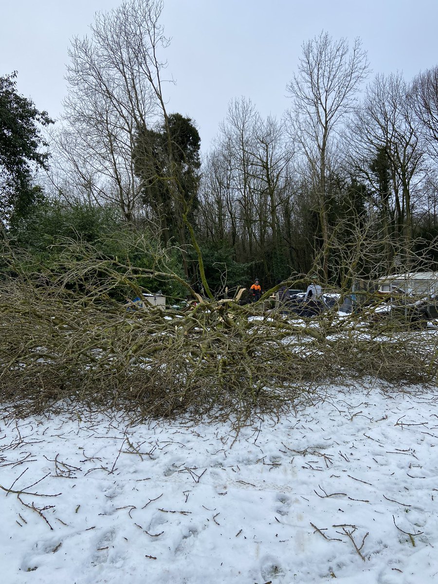 HedgesJust's tweet photo. Large Ash take down (due to Ash die back) in some nice snowy surroundings #treework #stihl @STIHL_GB @RotatechChains https://t.co/ck93R9cVHB