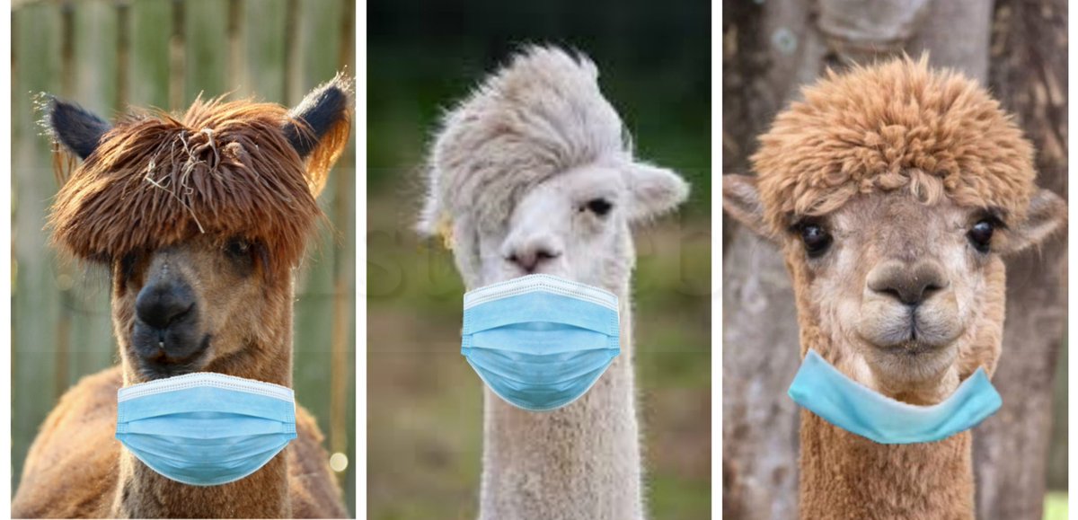 Los chavales con los que me cruzo.