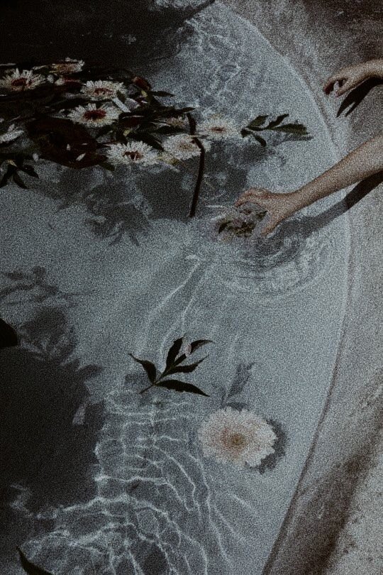 delulud1ary's tweet image. “Maybe some people aren’t made for love. Maybe some people aren’t strong enough.”