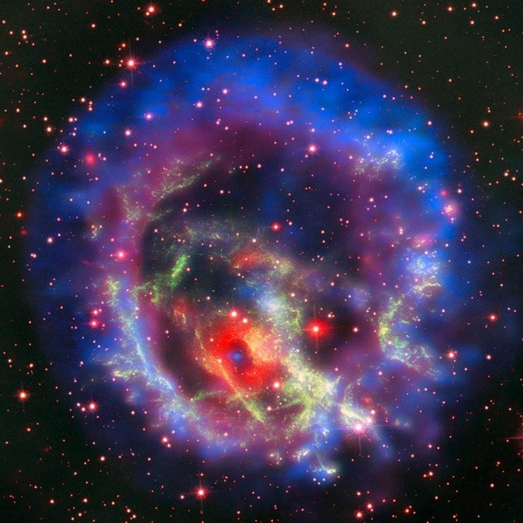 DivulgadoresDe's tweet photo. #Entérate | Fascinante vista del remanente de supernova 1E 0102.2-7219 (abreviado como E0102) ubicado en la galaxia enana cercana a la Vía Láctea, Pequeña Nube de Magallanes.
Fuente: X-ray (NASA/CXC/ESO/F. Vogt et al.); Optical (ESO/VLT/MUSE & NASA/STScI)
#dedivulgadores #E0102 https://t.co/kA3E1p17pK