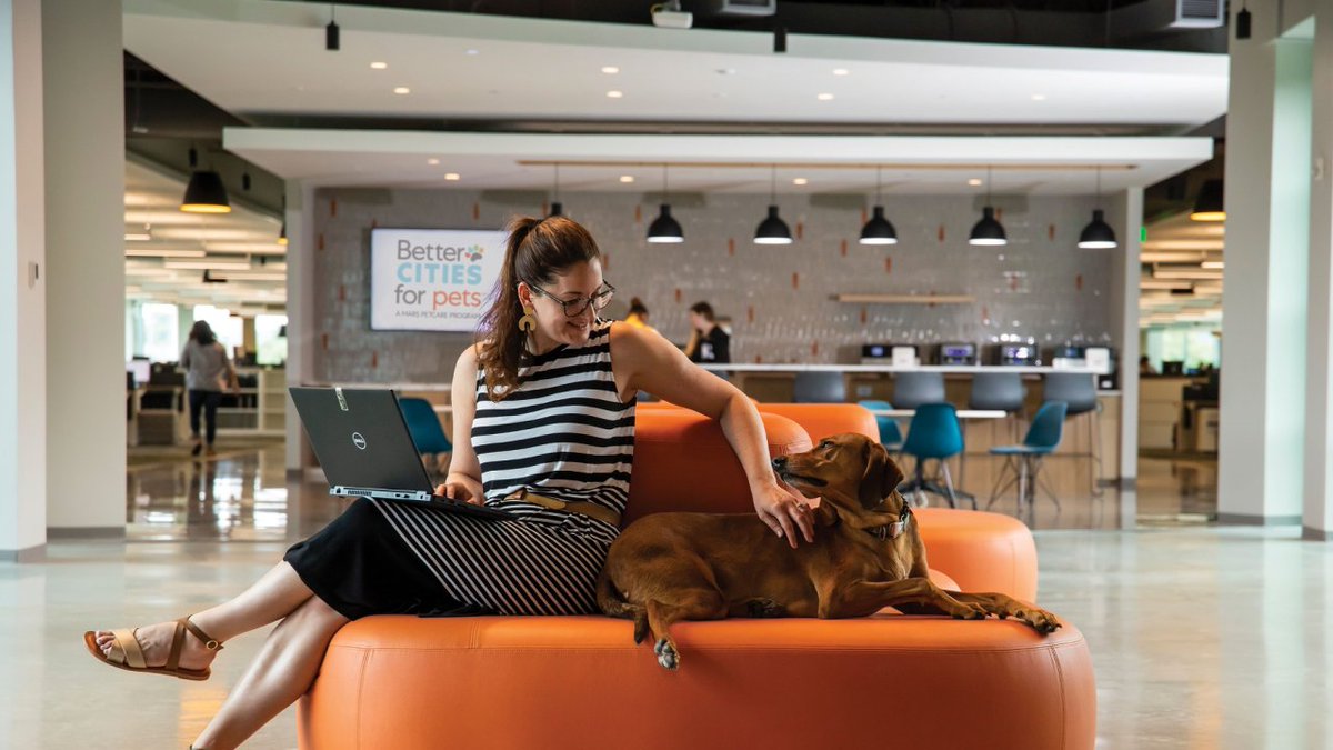 MicrosoftTeams photo