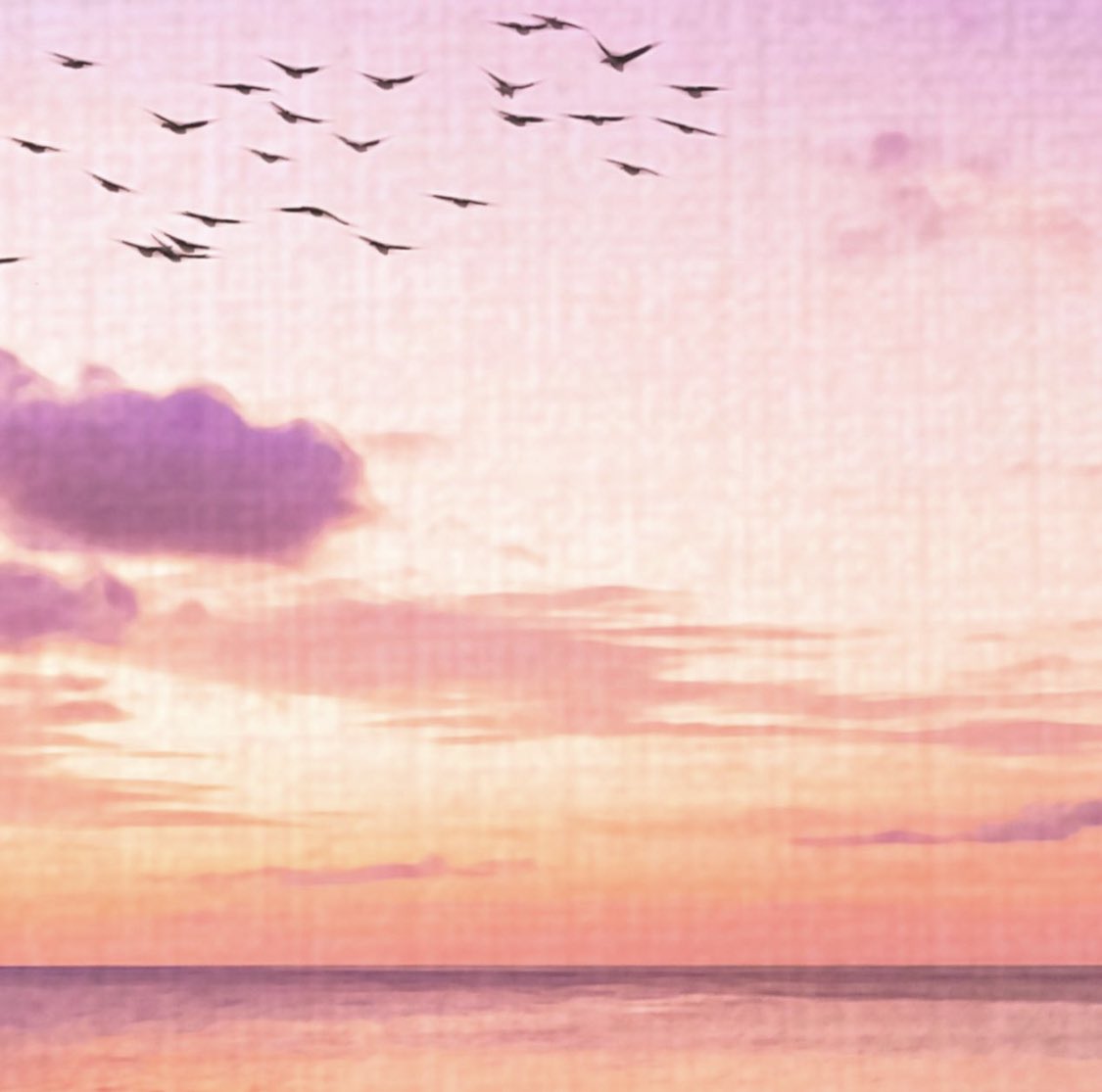 New song out very soon on <a href="/ATLAST/">ATLAST</a> can’t wait to share it with you! 🔥#NewMusic #tropicalhouse #miamibeats