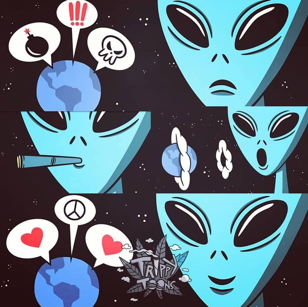 BestOfMeow's tweet photo. Art by Trippy Toons https://t.co/7a93Ghksv3