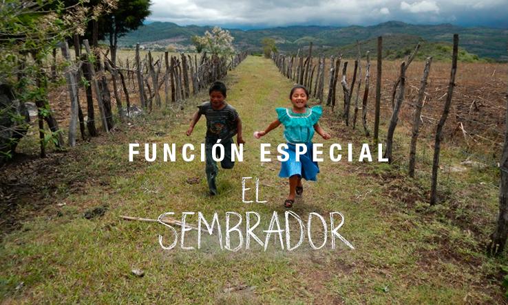 ¿No pudiste ver 'El sembrador' en 2020? Aún tienes la oportunidad de hacerlo. ✨

Solo hoy está disponible de manera gratuita como parte de las actividades del Cineclub virtual de cine mexicano.

🎬filminlatino.mx/pelicula/el-se…