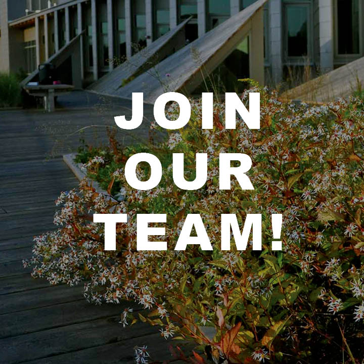 Join our team! We are currently hiring for two positions: Marketing Manager and Landscape Architect, based in either our Philadelphia or Raleigh office. Visit andropogon.com/were-hiring/ for more information!