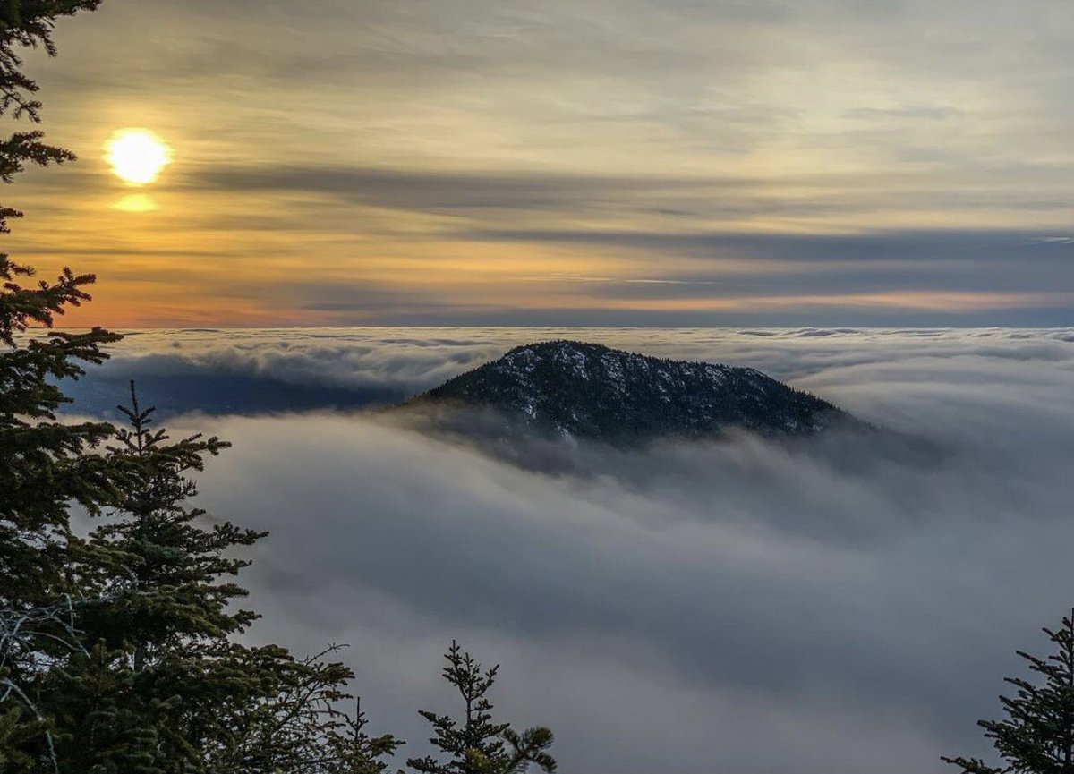 Meanwhile, in the Adirondacks... 

📷: Brian Twardy
