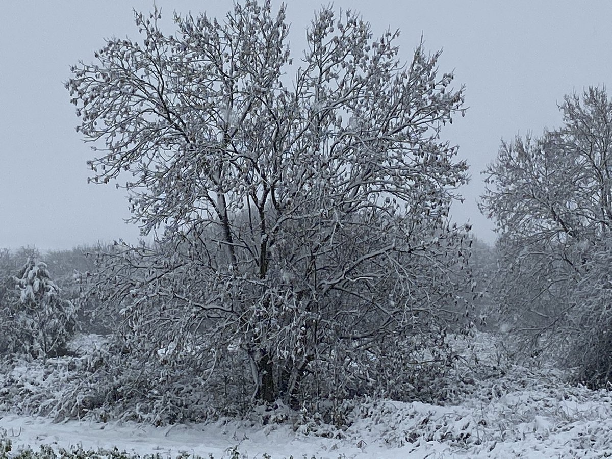 Rocketserver16's tweet image. 