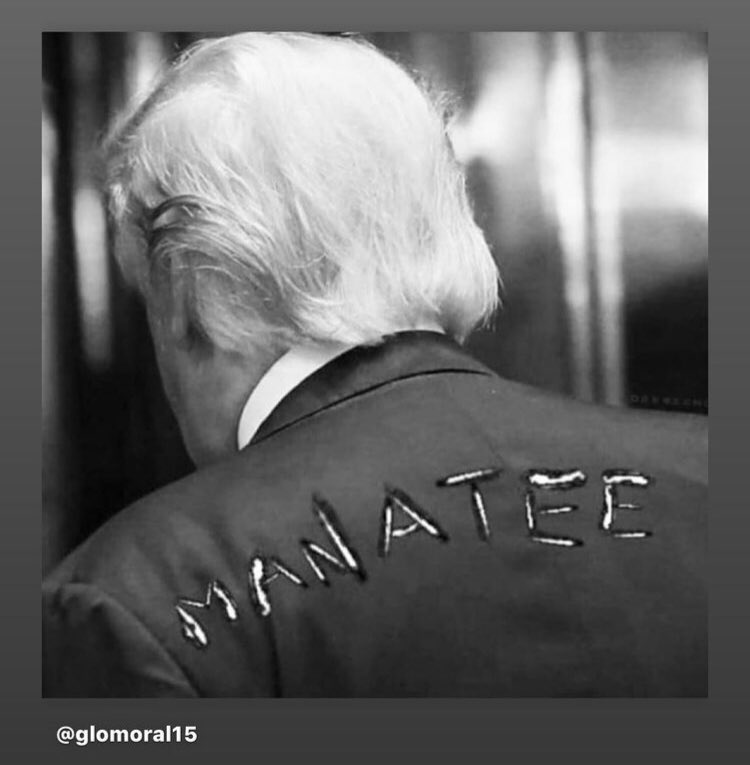 tmorello's tweet image. 