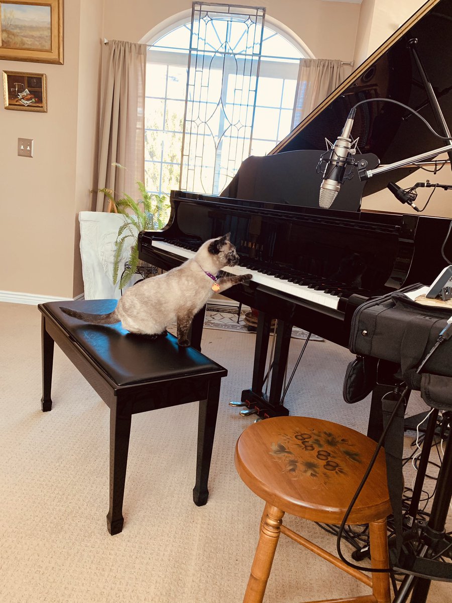 CharlesDenler's tweet photo. I never charge my cats for piano lessons... https://t.co/YYKYf3Y7jF