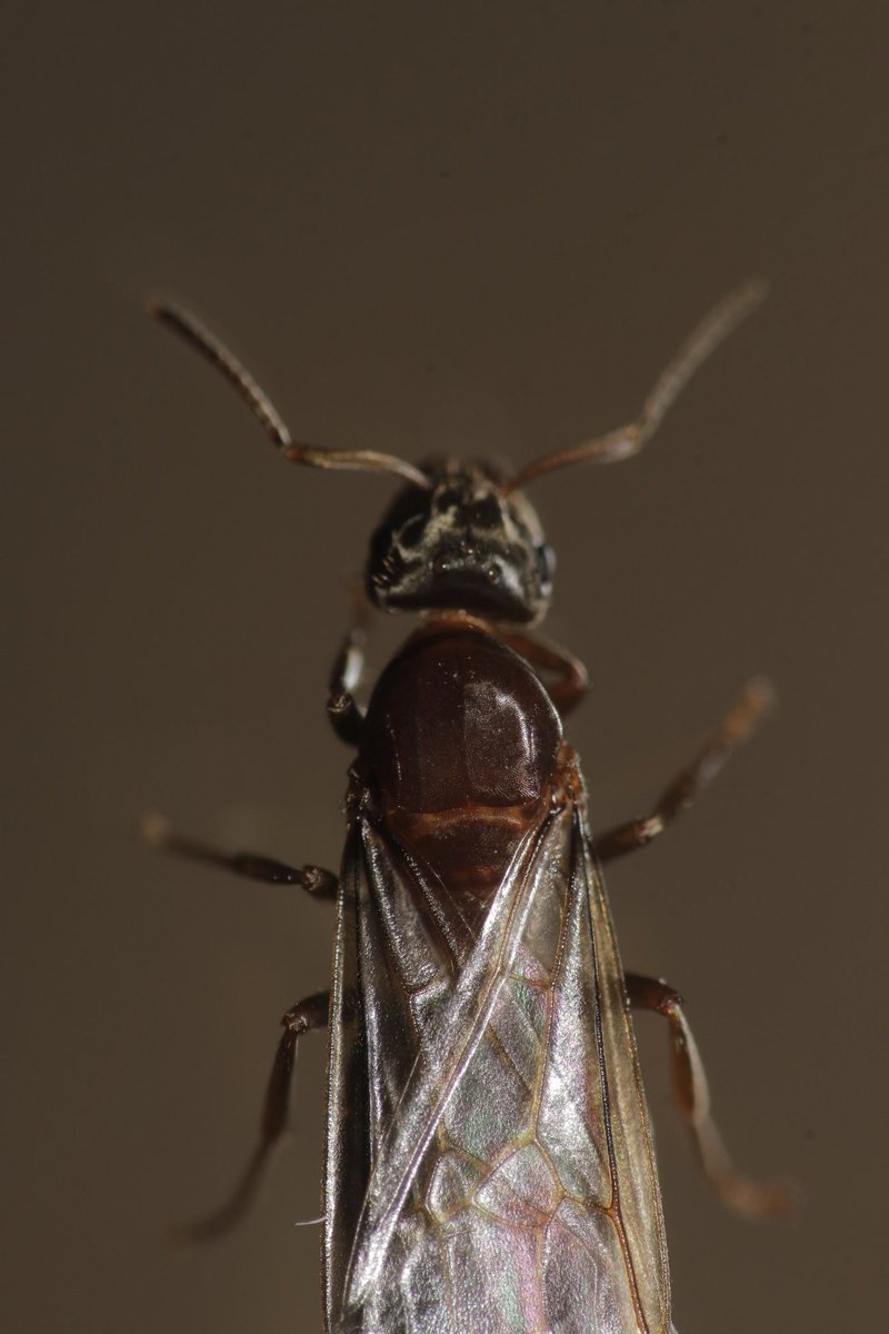 cyclecraf's tweet image. 