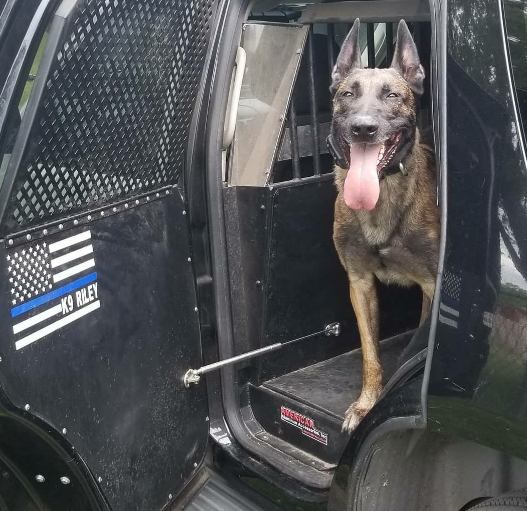 k9sofvalor's tweet image. Our thoughts and prayers are with the Gibson family, K9 Riley's family, and the entire @sacsheriff as they mourn the loss of Deputy Adam Gibson and K9 Riley. Rest easy heroes.
#NeverForget