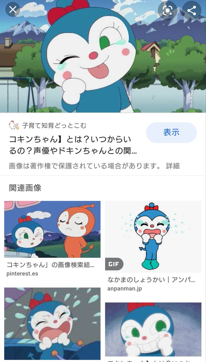 コキンちゃん いつからいる
