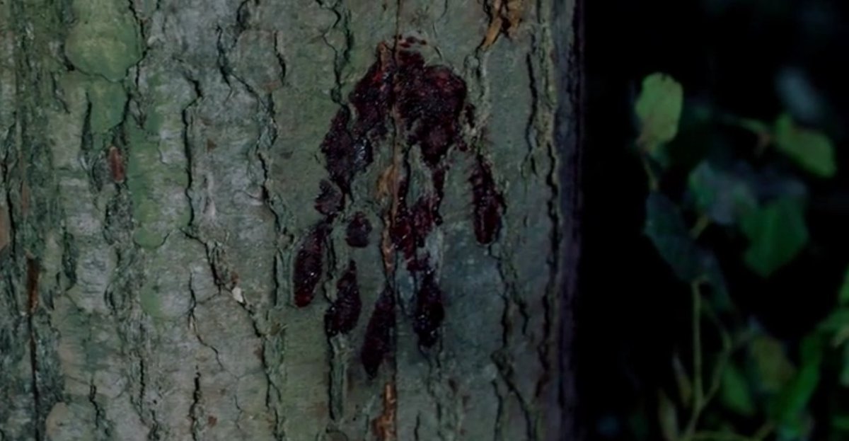 WHERE THEY TALK ABOUT THE LANGUAGE OF TREES A N D IT HAPPENS JUST A MOMENT AFTER THEY SEE A BLOODY HANDPRINT ON THE TREE AND DEAN; WHO IS LOOSING HIS MEMORY AT THE MOMENT; REMEMBERS CAS AFTER TOUCHING SAID TREE